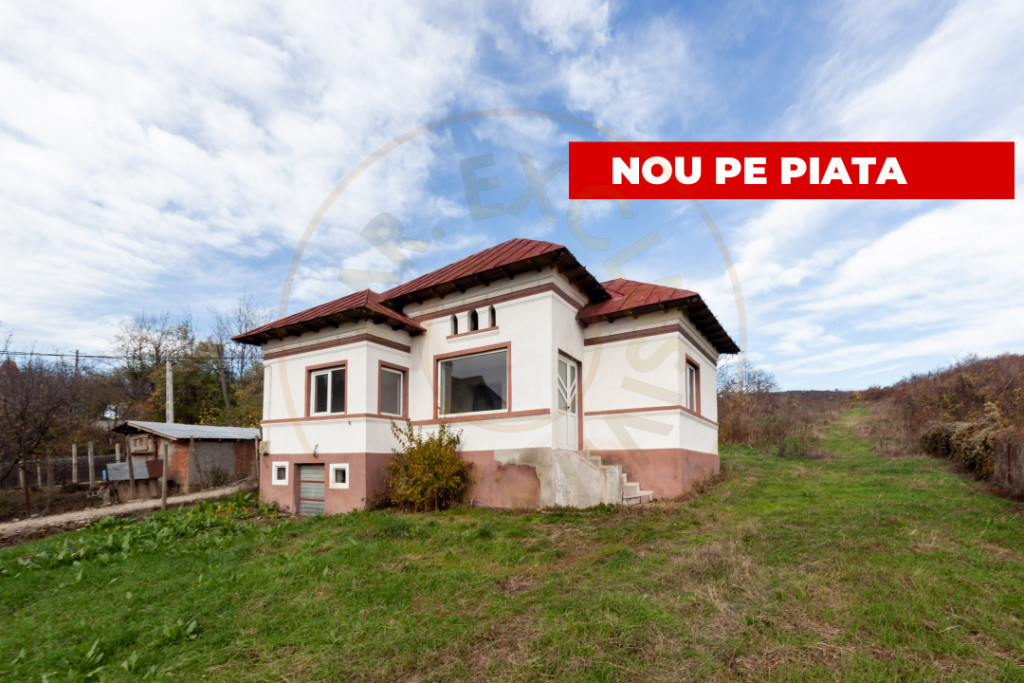 Casa la tara cu teren generos in zona Calinesti-Ciocanesti -