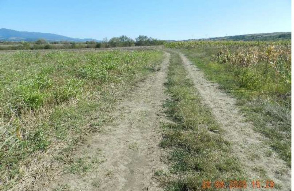 Teren extravilan arabil, situat in Oravita, Jud Caras-Sev...