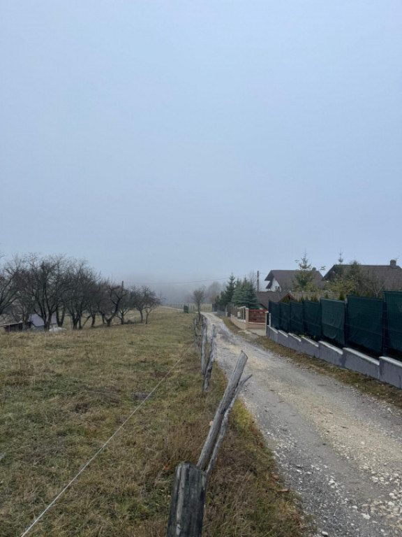 Teren Poiana Marului -Zarnesti -Brasov