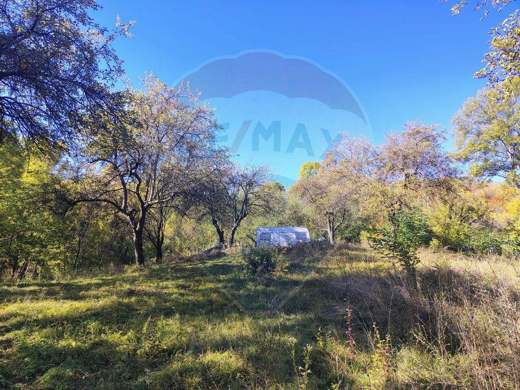 Casă de vânzare in Bragadiru