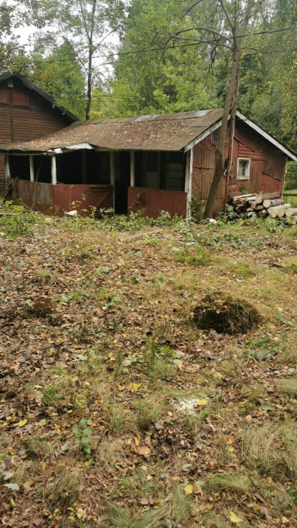 Firiza, 4,5 ari teren