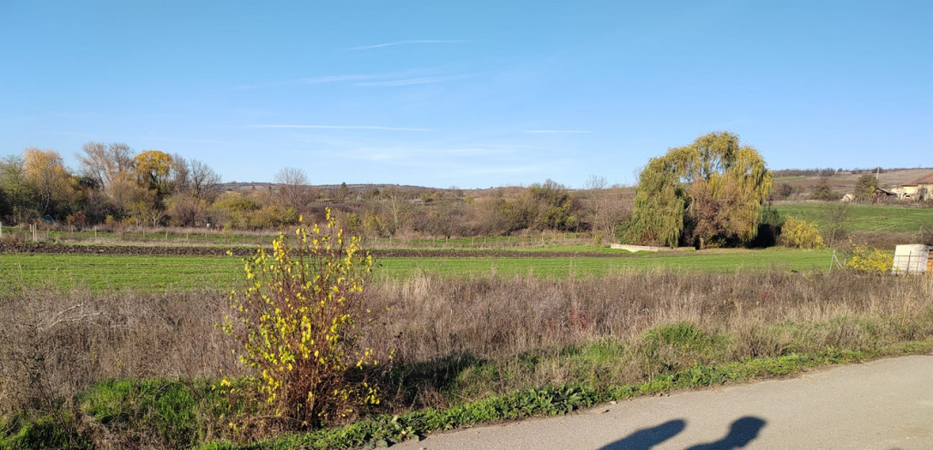 EXCLUSIVITATE -Teren Simnicul de Sus - 1000mp Intravilan