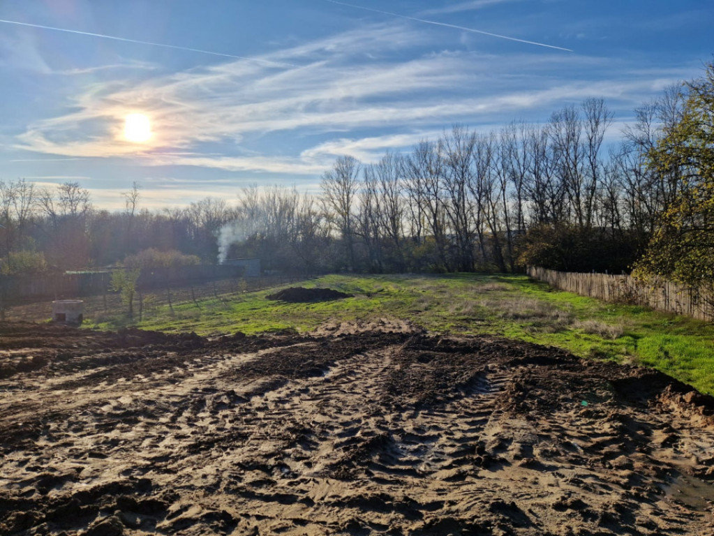 Teren Simnicu de Sus- Iesire la drum national -Toate utilita