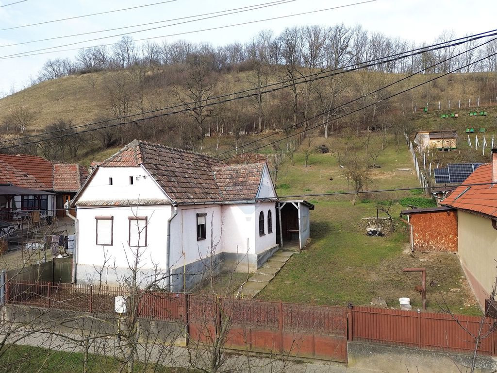 Casă la țară in Transilvania - sat sasesc Păucea, jud...