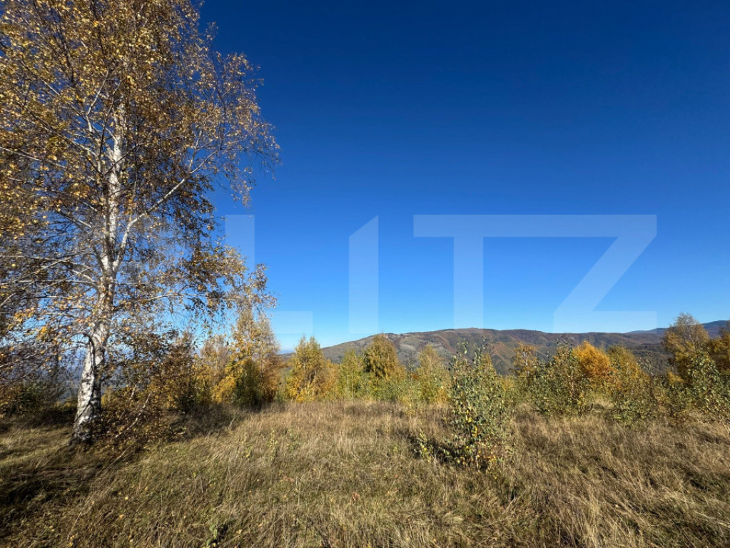 Teren extravilan de 17.183 mp in Târsa