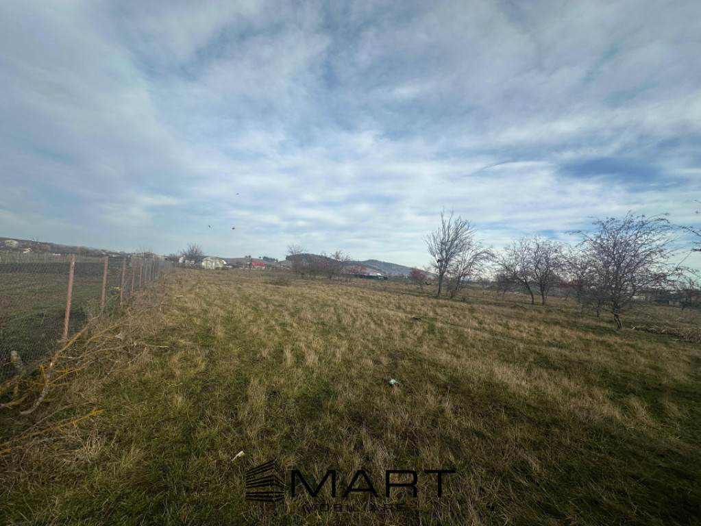 Teren Intravilan 865 mp Sanpetru