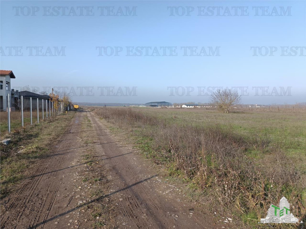 Super teren intravilan (Lot 2) la DJ 101, loc. Gruiu IF, id