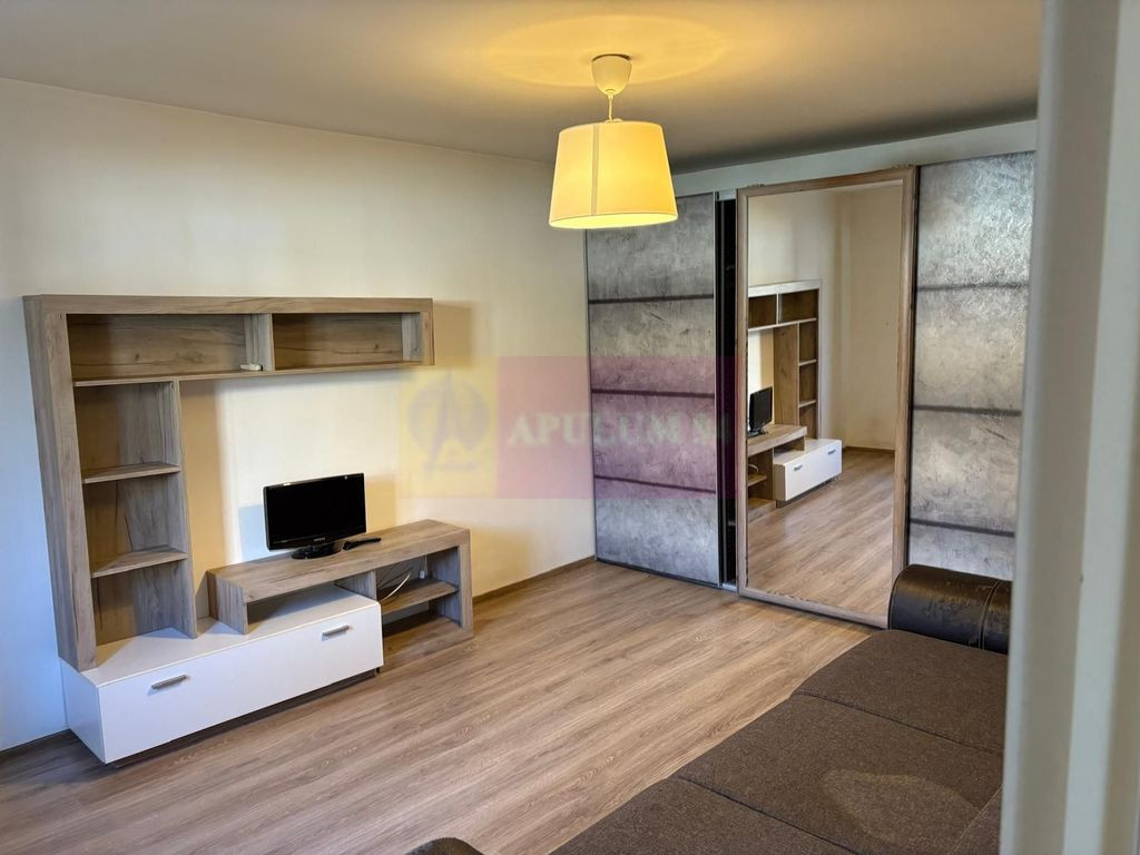 Casa 1 camera 33mp curte 50mp zona Metrou Tineretului COM...