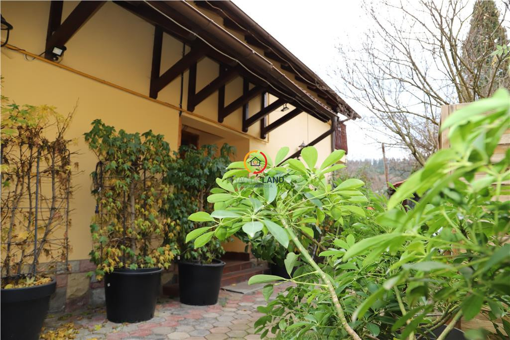 Vila Oportunitate Unica