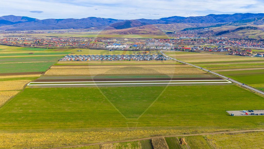 Teren 10,000mp Tarlungeni