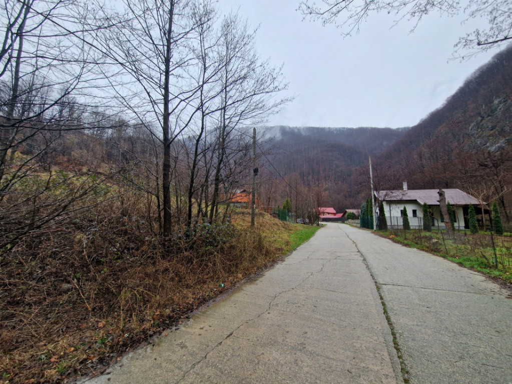Teren in Com. Pestisani, sat Gureni - zona de munte