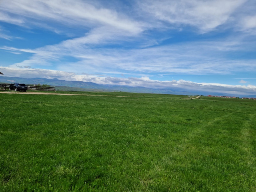 Teren extravilan 25.254 mp în zona Preajba