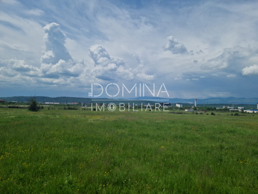 Teren extravilan în Tg Jiu, str. Ciocarlau