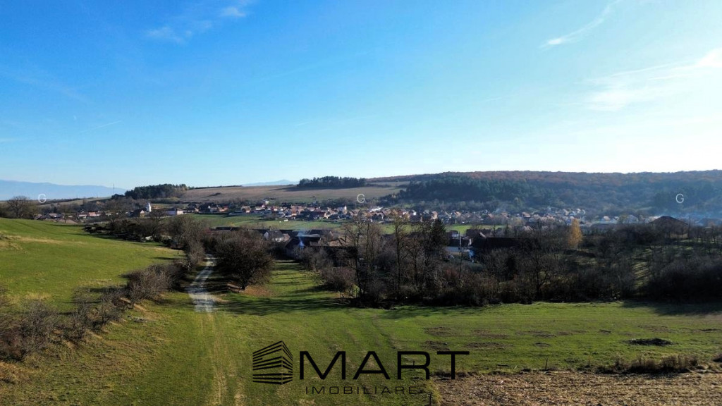 Teren extravilan 650mp Rusciori