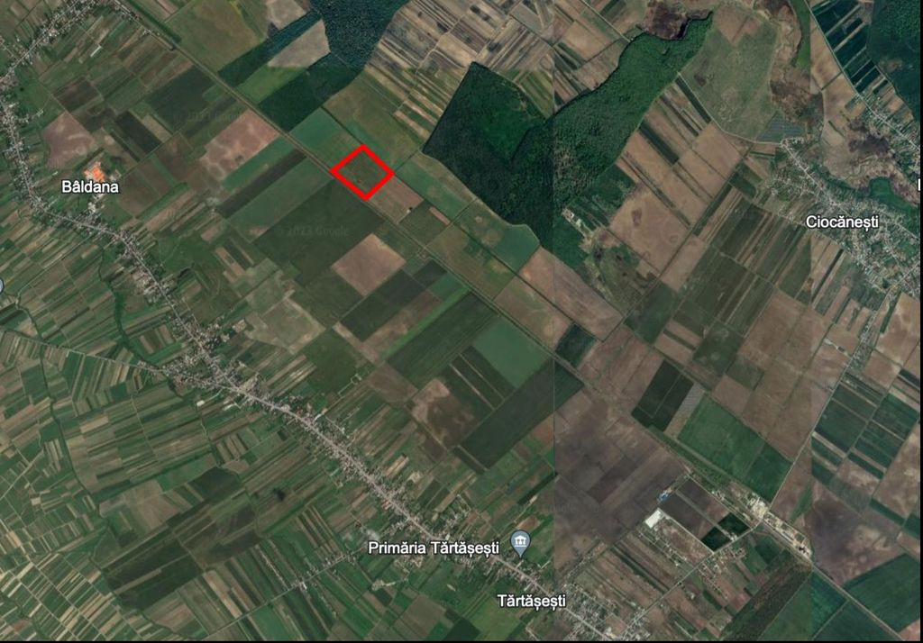 Teren agricol 13,5 hectare | Tartasesti | Ciocanesti | DB