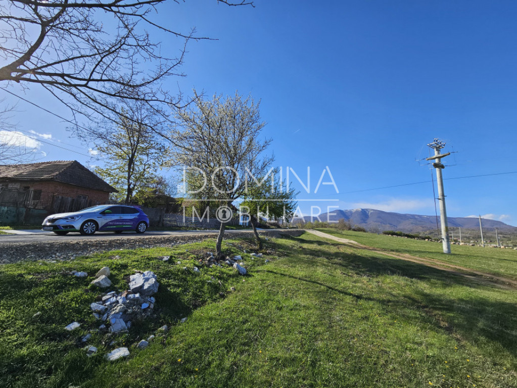 Teren 4606 mp - Runcu - la aproximativ 20 km de Târgu Jiu