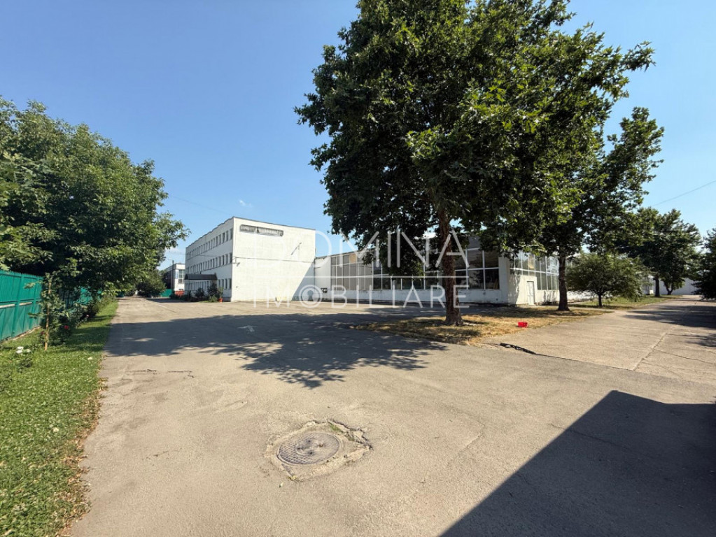 Complex industrial multifuncțional – Târgu Jiu