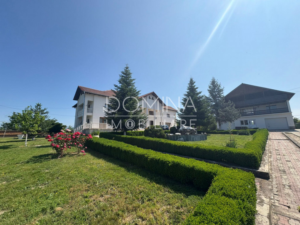 *Conac impresionant* - pretabil reședință sau business