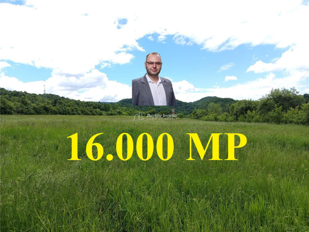 Borlovenii Noi, Teren Drept, 16000mp, la Limita Localitatii