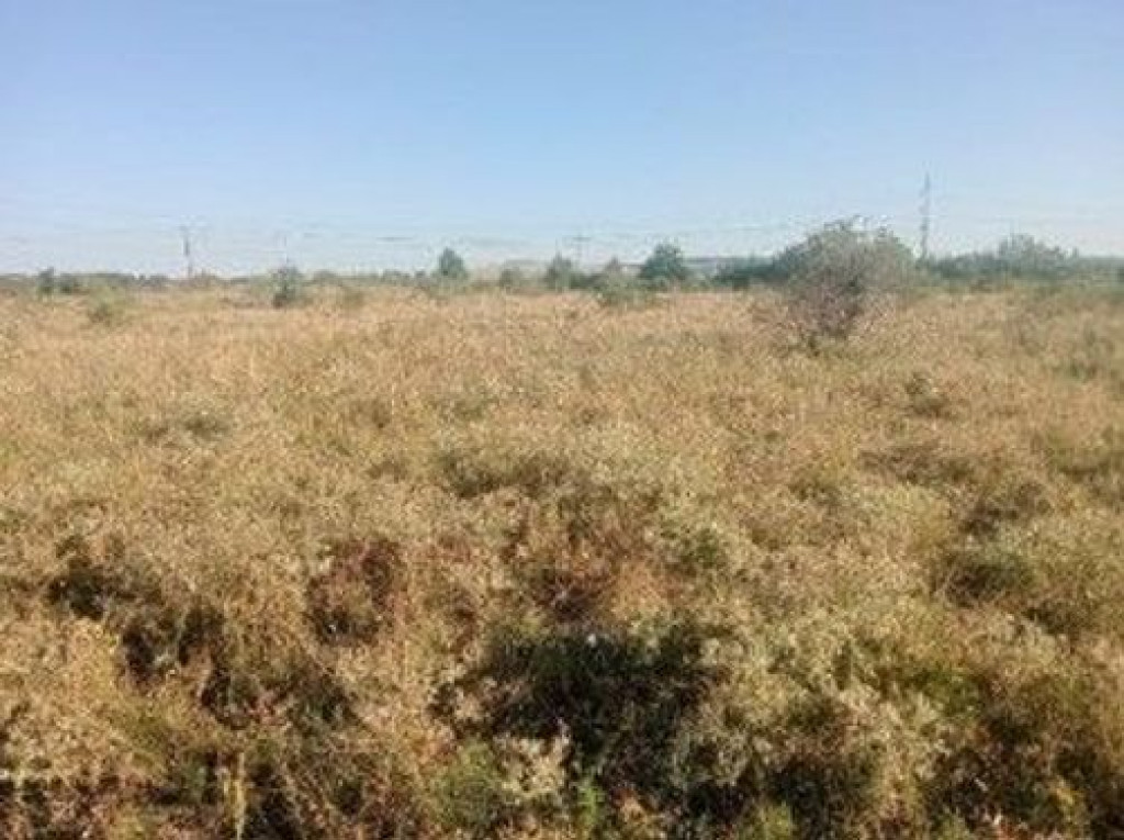 Targu Neamt, Punct Manesti, cota parte 1/2, ID: R2759107