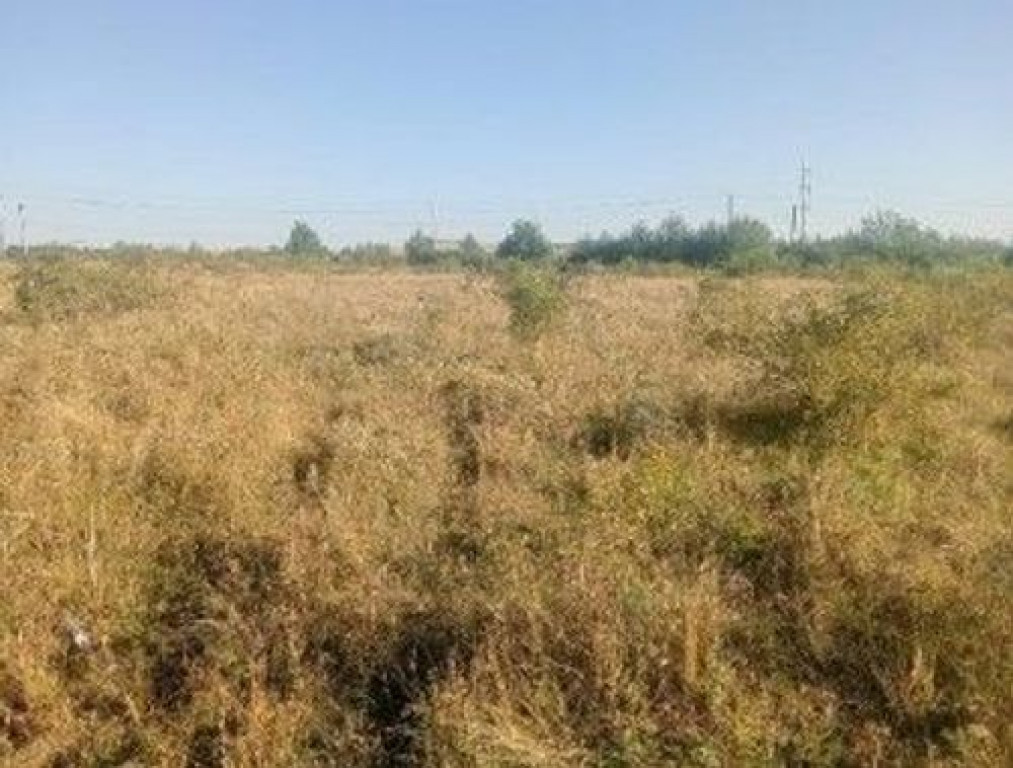 Targu Neamt, Punct Manesti, cota parte 1/2, ID: R2759104