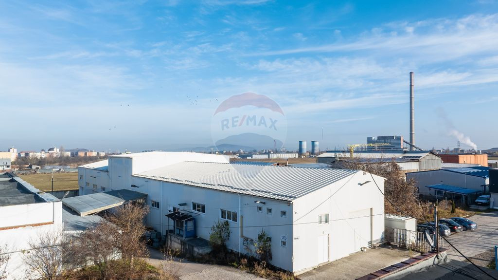 Hala industrială – investiție stabilă sau potențial...