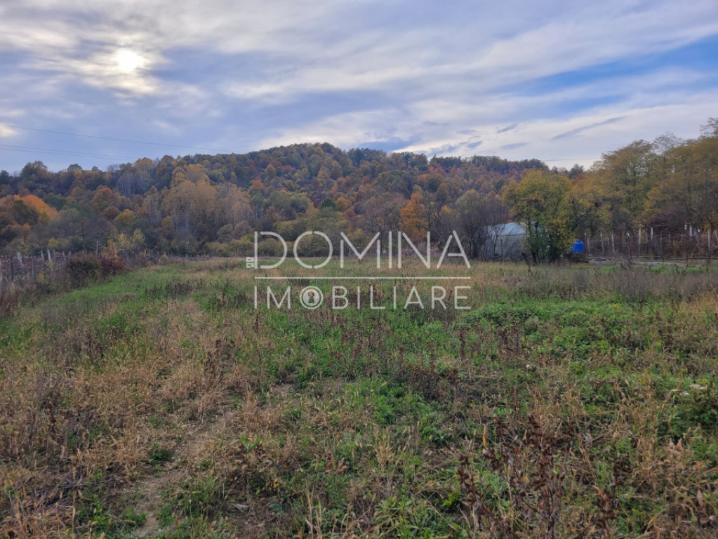 Teren intravilan, 4967 mp, utilități, sat Rasova, Băleș