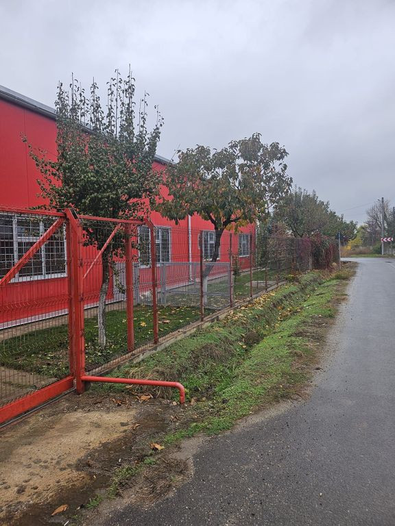 Hala 437 mp Domnesti - Pasaj