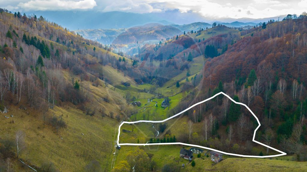 COMISION 0% Teren 8013mp Moieciu de Jos / Strada Valea cu...