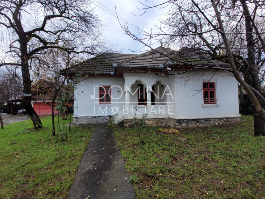 Casă tradițională, în centrul satului Polovragi