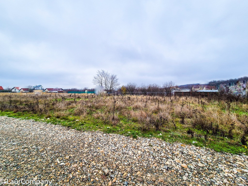 Teren intravilan Smeura Arges