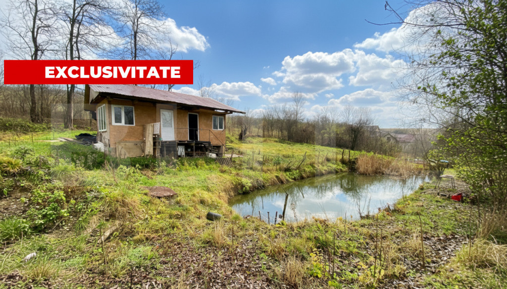 Teren intravilan 1150 mp cu cabana si balta, Sat Craesti