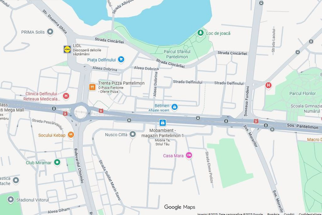 Zona Delfinului Fundeni 212 mp stradal 2300 euro/luna