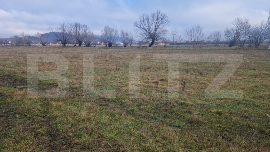 Teren intravilan Sanpetru - ideal ctie casa 500 mp