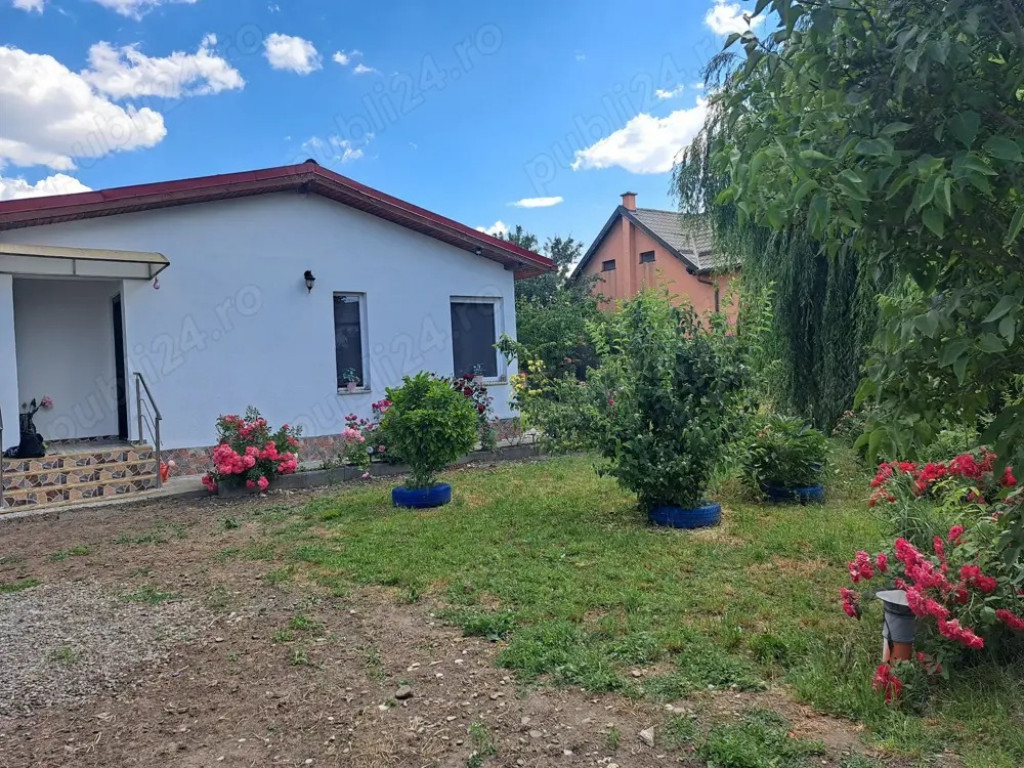 Casuta singur in curte 864 mp Bod, Brasov