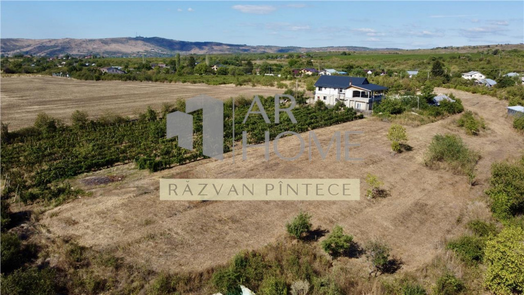 Pensiune 6 camere, teren 12713 mp, Dealul Mare, Urlati, Prah