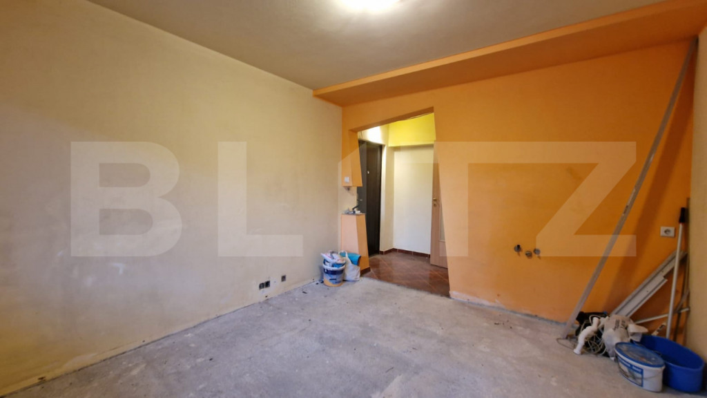 Garsoniera, zona Lipovei