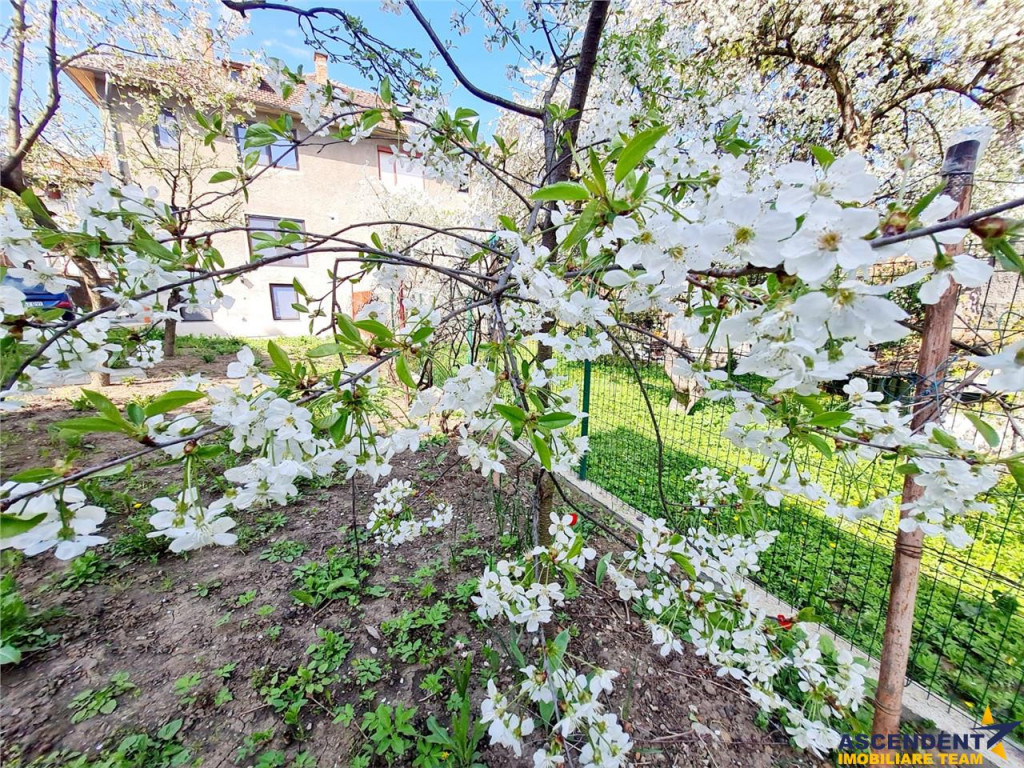 Casa individuala 3 camere central Brasov