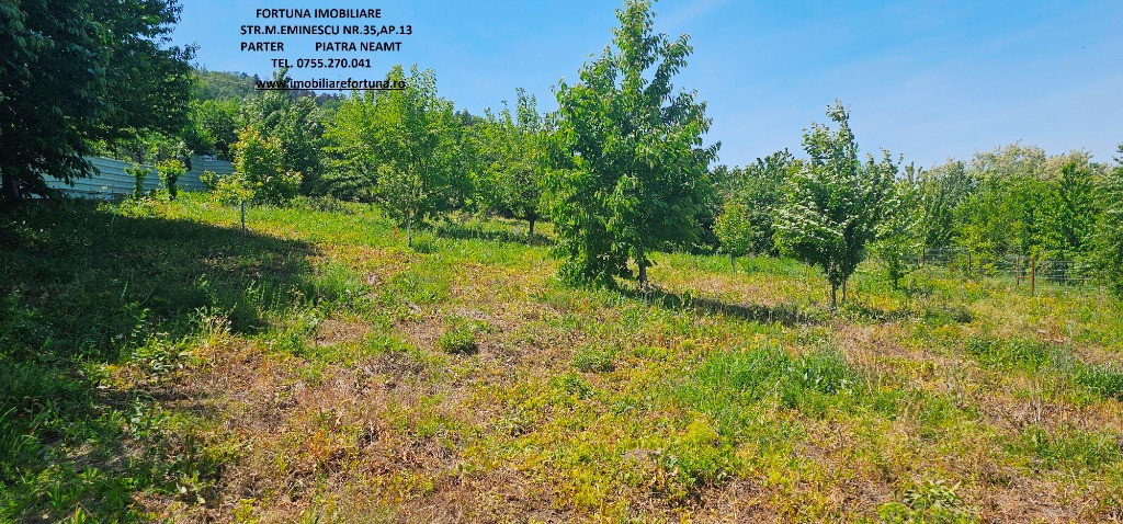 Teren zona Pietricica, cadru natural superb