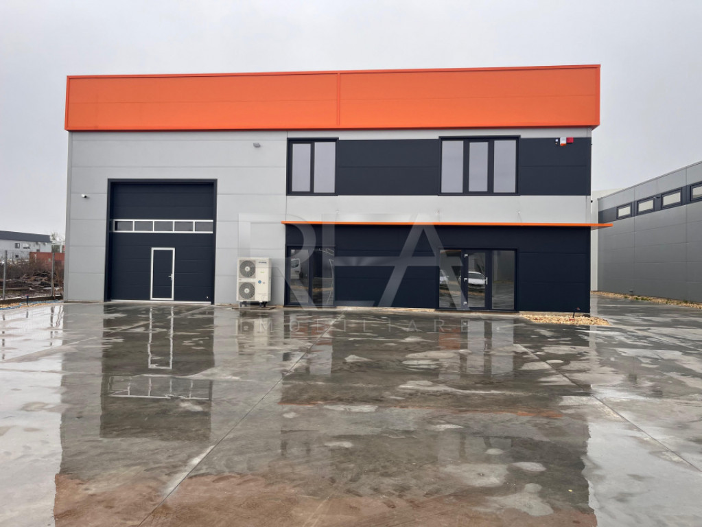 Vanzare Hala noua Chiajna