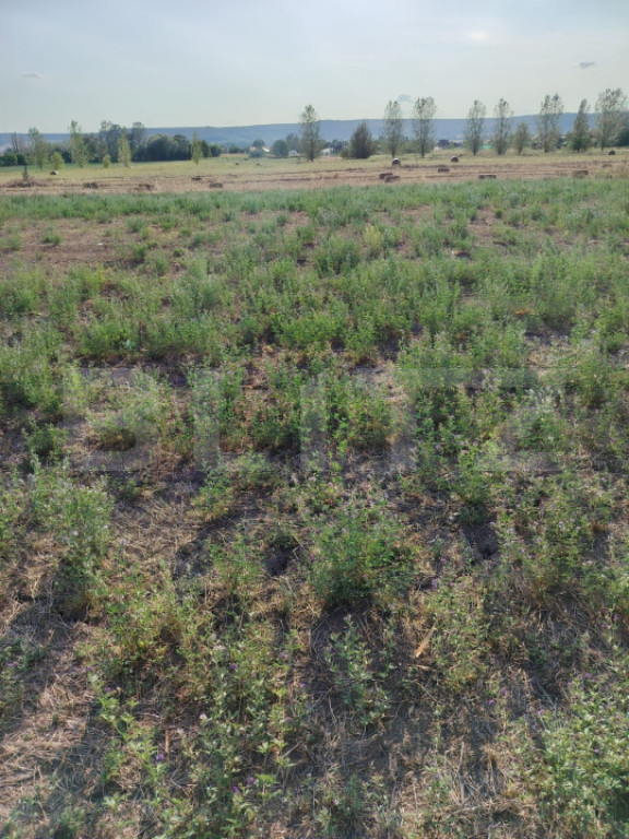 Teren intravilan Craiova, 400 mp, zona Releu