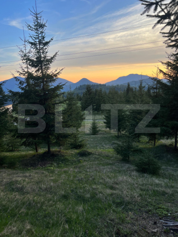 Teren extravilan cu priveliste - Tihuta Cota 1.201