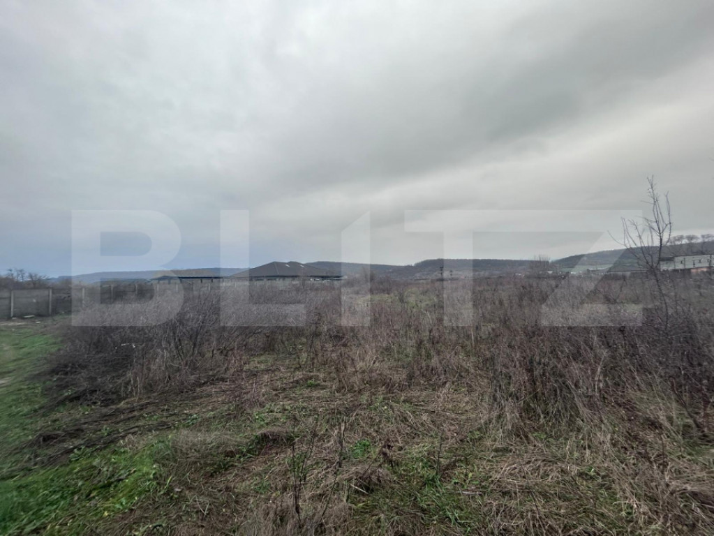 Teren extravilan de vanzare, 10.000 mp - Turcinesti