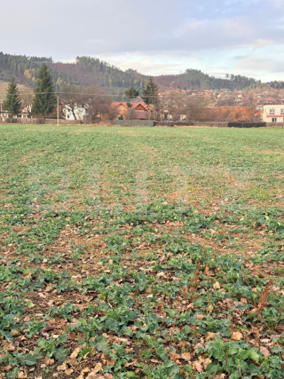 Teren de vânzare în Zărnești – 1150 m², poziție exce