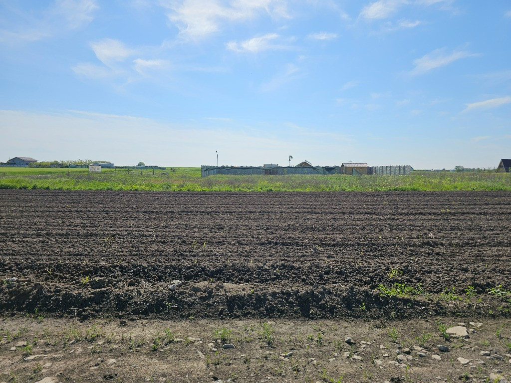 Teren intravilan 317 mp Comuna Berceni