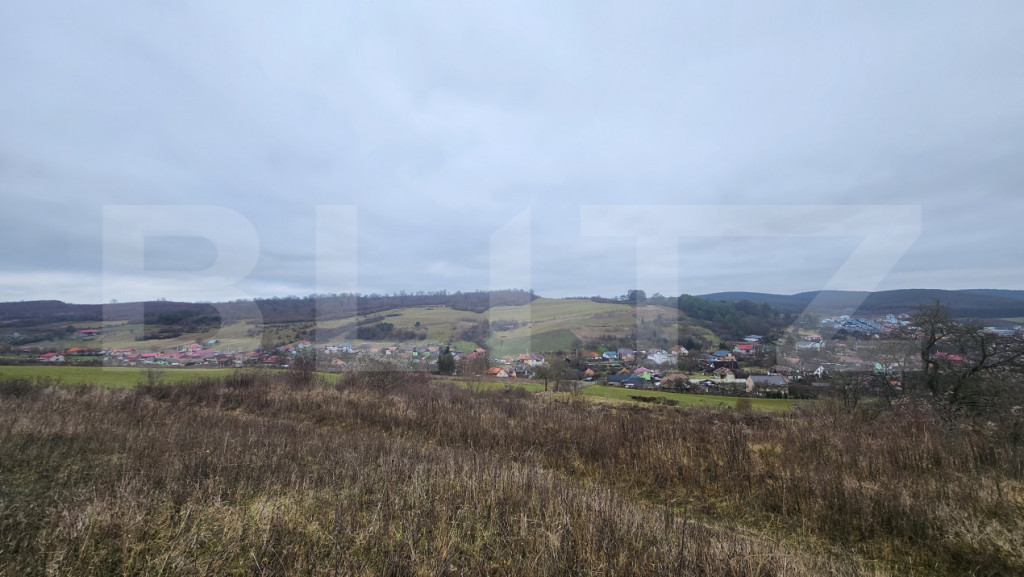 Teren intravilan 4756 mp de vanzare in Livezeni