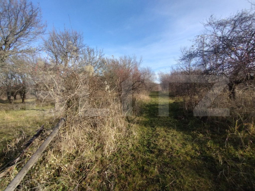 Teren extravilan,(livada pomi) 1,50 ha zona Subcetate