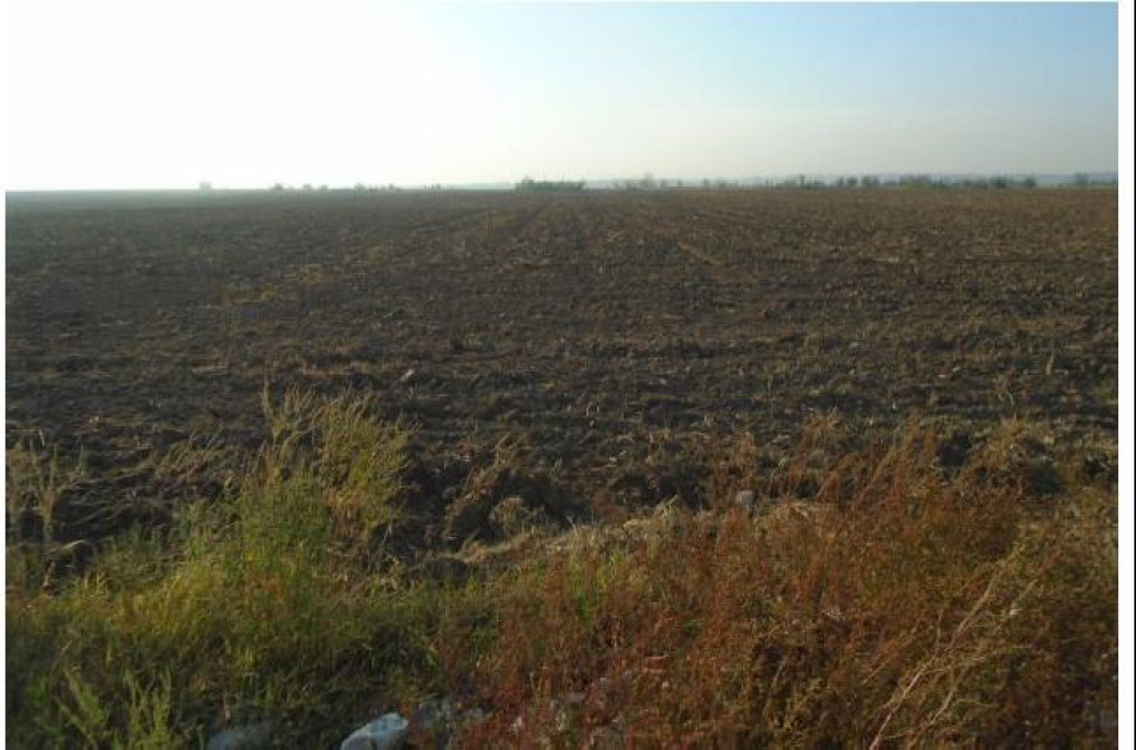 Teren extravilan Loc. Bucovat sat Sarbatoarea, jud. Dolj