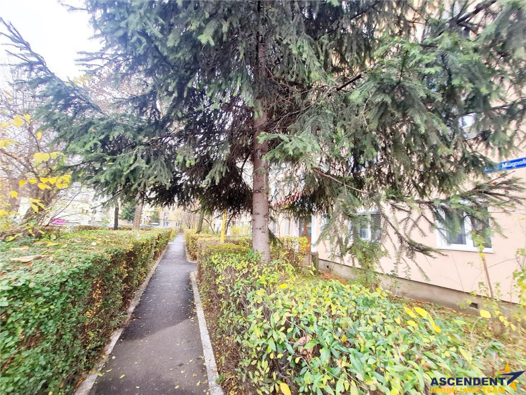 Cartierul Florilor, imobil renovabil, etaj intermediar, zona