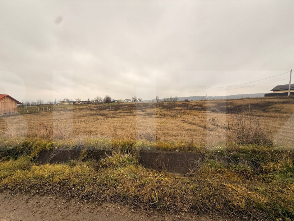 Teren intravilan de vanzare, 1250 mp - Ipotesti